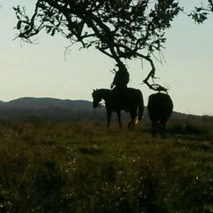 Meet your Posher, Kasey